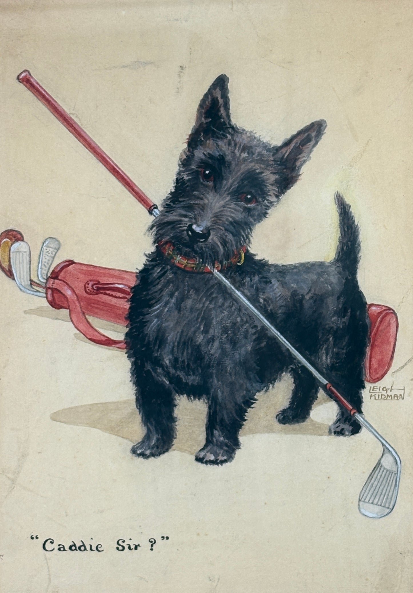 "Caddie Sir?" Scottish Terrier by Leigh Kidman, 1930